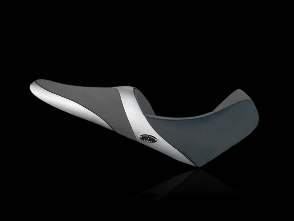 selle de DL 1000 V-STROM
