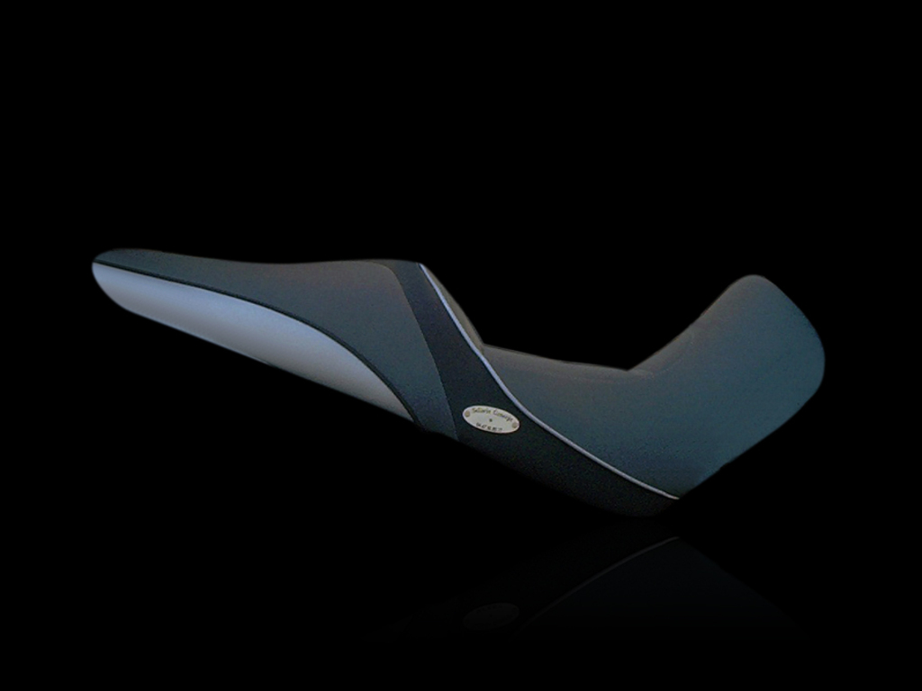 selle de DL 1000 V-STROM