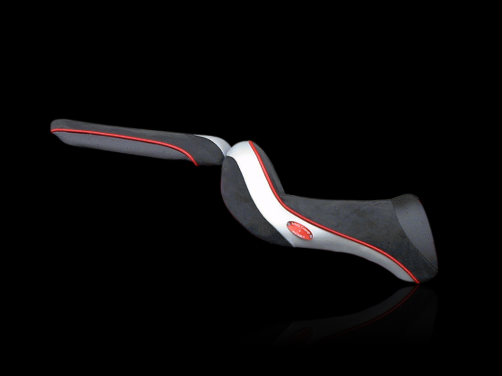 selle de ZX-9R 900