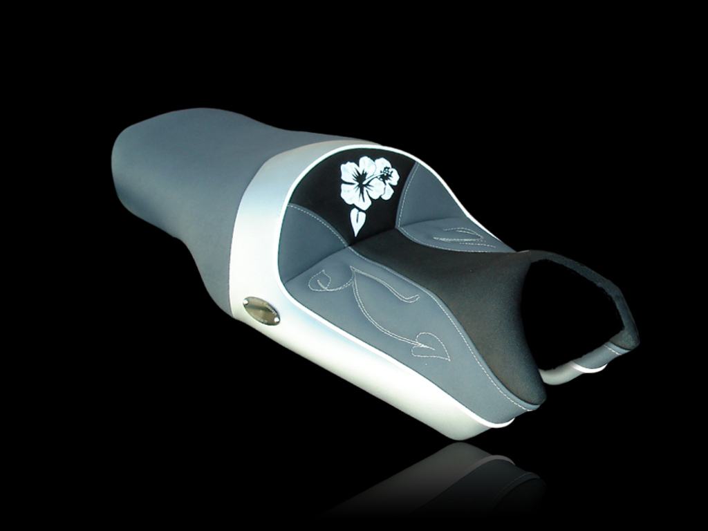 selle de FZ FAZER 600