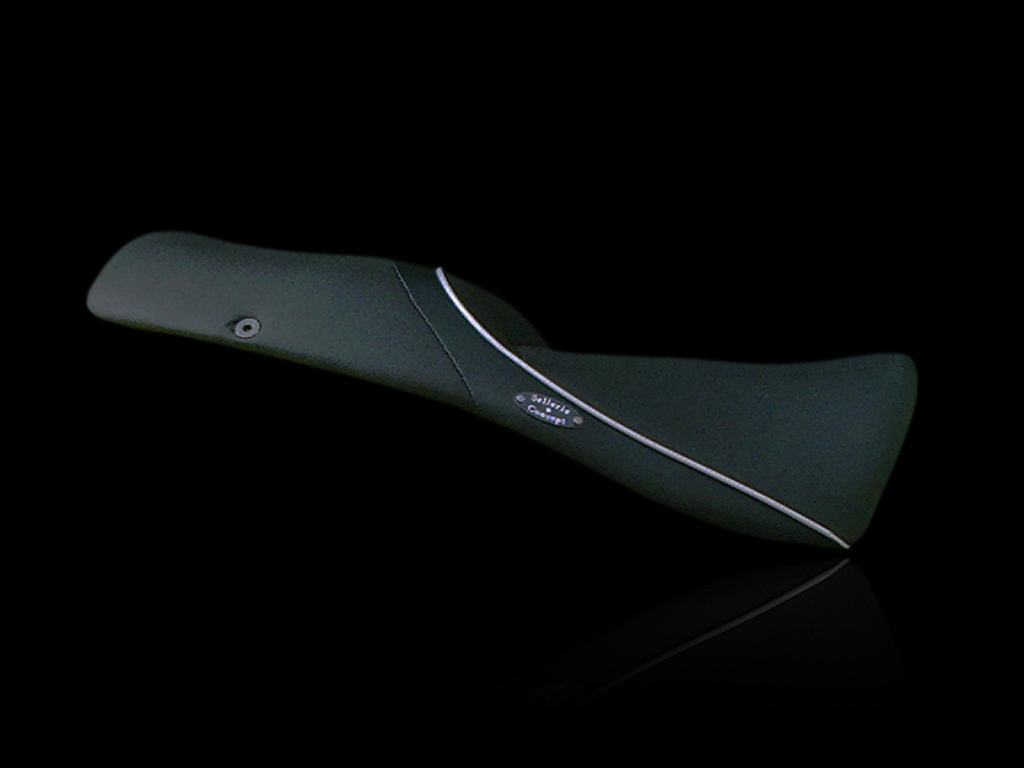 selle de 1100 V11