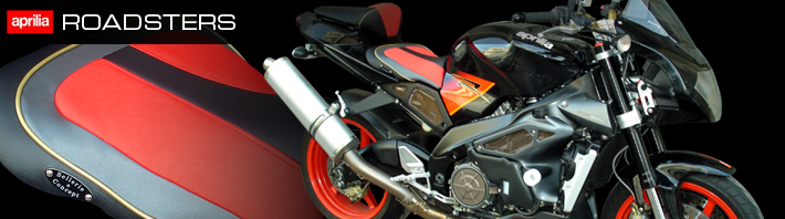 bannière aprilia roadsters