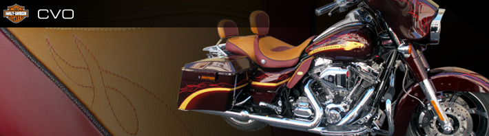 bannière harley-davidson cvo