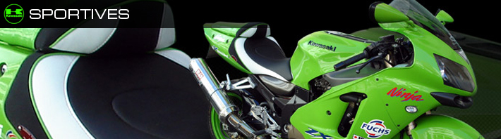 bannière kawasaki sportives